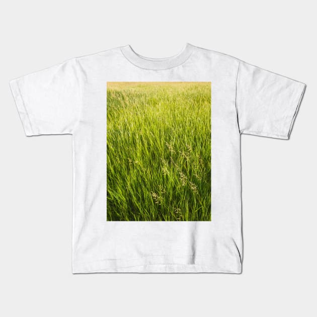 Blooming wild bromus Kids T-Shirt by psychoshadow